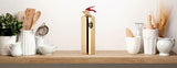 Brass fire extinguisher - Diesel Freak