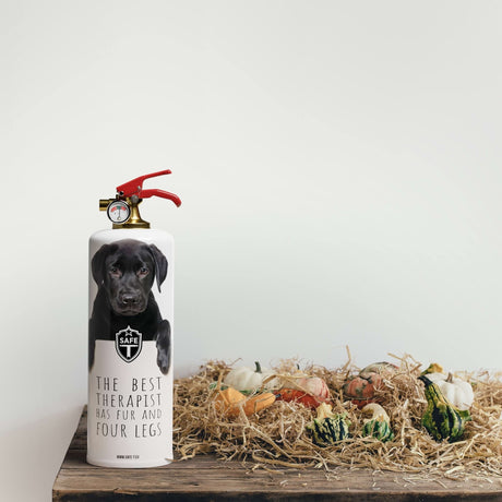 Dogs fire extinguisher - Diesel Freak
