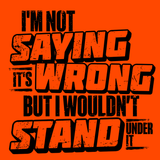 I Wouldn't Stand Under It - Safety T-Shirt - Diesel Freak