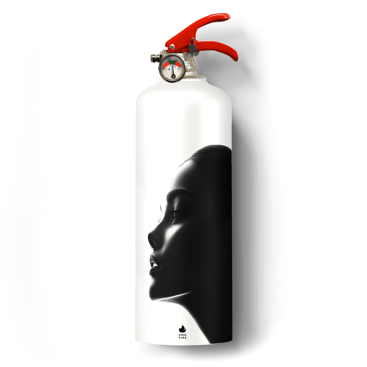 Le Visage fire extinguisher - Diesel Freak