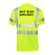 Slim Shady - Reflective Safety T-Shirt - Diesel Freak