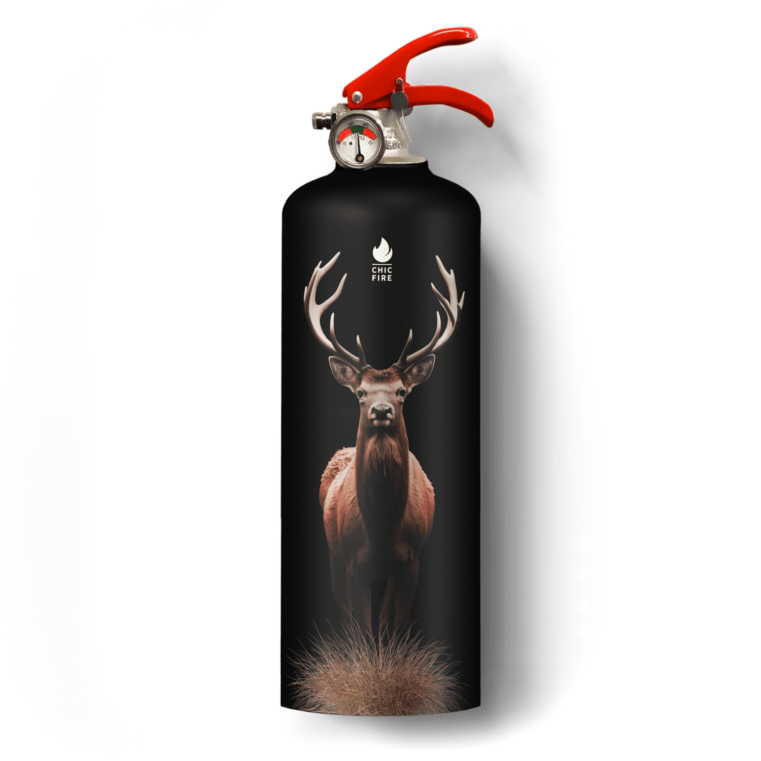 Stag fire extinguisher - Diesel Freak