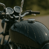 WASH&WHIPS MotoPro Motorcycle Detailing Kit - Bug Remover, Leather Care, Ceramic Spray - Diesel Freak